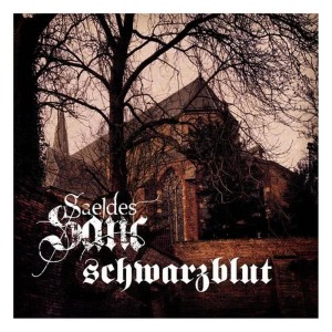 收聽Saeldes Sanc的Virginis Memoriae(Schwarzblut Remix)歌詞歌曲