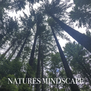 Natures Mindscape