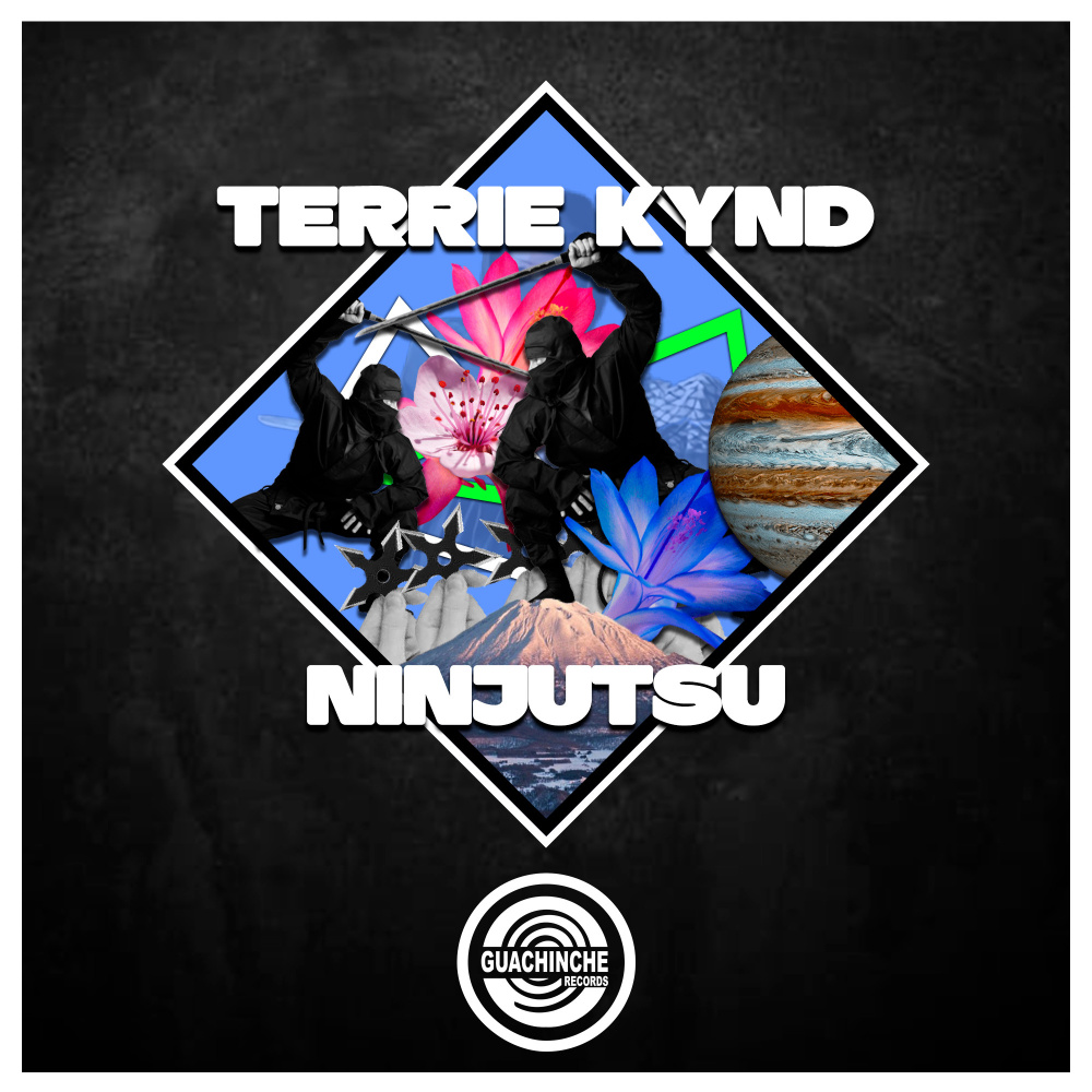 Ninjutsu