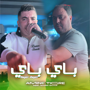 Listen to Bye Bye song with lyrics from Cheb Amine Tigre