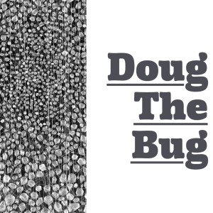Danny DeVito的專輯Doug the Bug