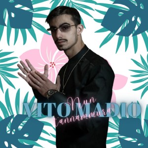 收聽Vito Madio的Nun t'annammurà歌詞歌曲