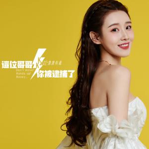 收聽康康有毒的這位哥哥你被逮捕了 (伴奏版) (伴奏)歌詞歌曲