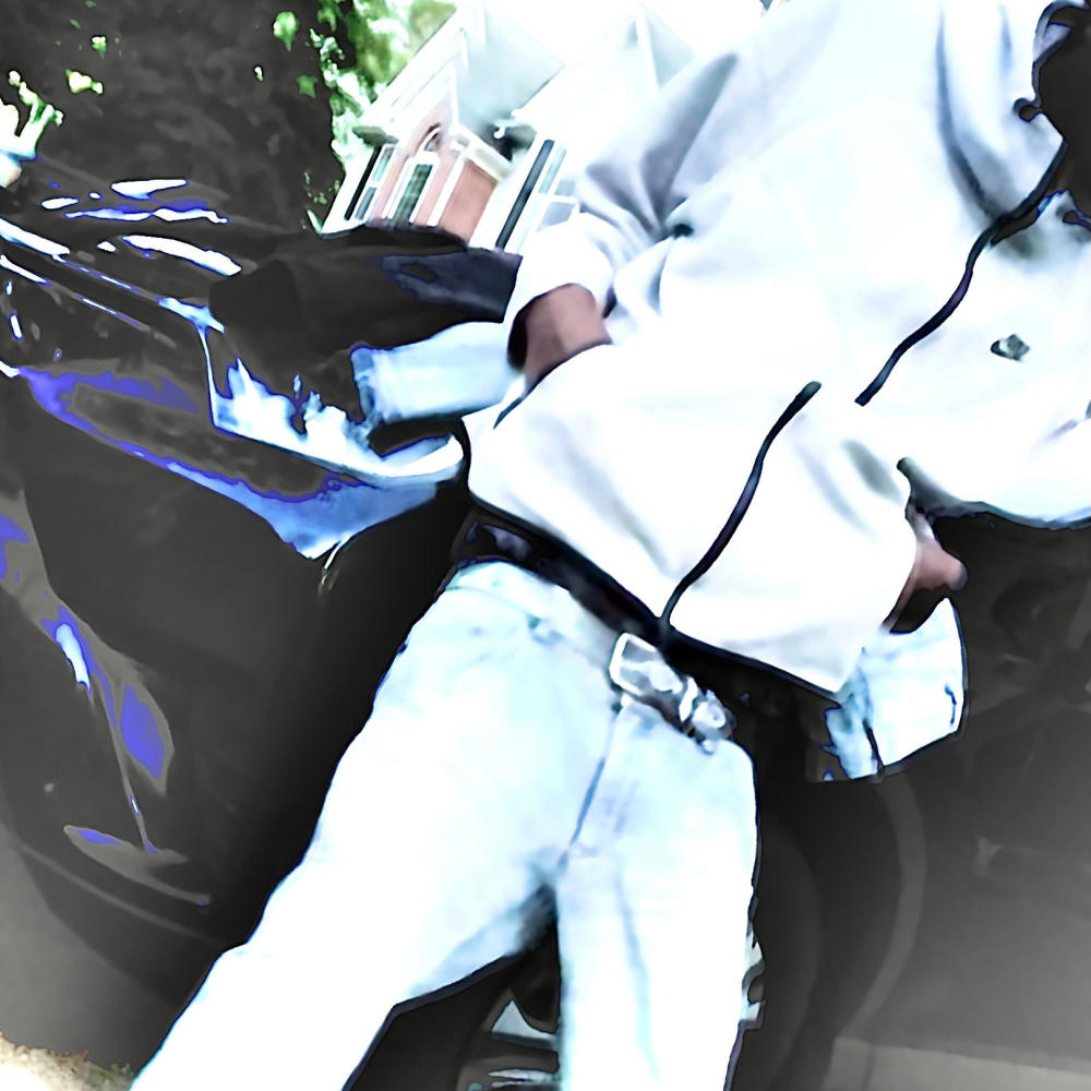 Vet (Explicit)