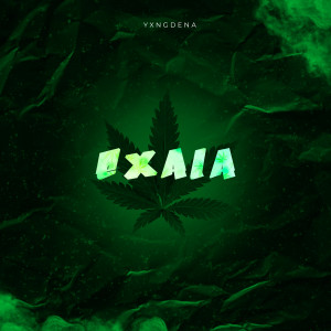 收听YXNGDENA的Exala (Explicit)歌词歌曲