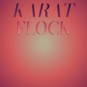 Various的专辑Karat Flock