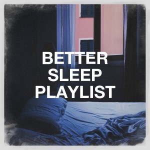 Musique du monde et relaxation的專輯Better Sleep Playlist