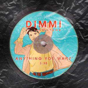 Leon Chame的專輯Anything You Want (feat. Leon Chame)