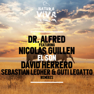 收聽Dr. Alfred的El Son (Sebastian Ledher & Guti Legatto Remix)歌詞歌曲