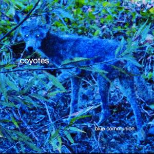 Album Blue Communion from Coyotes