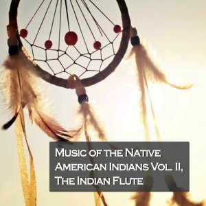 收聽American Indian的Who Am I? (其他)歌詞歌曲