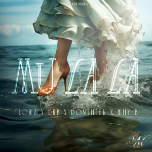 Listen to Mu La La (Explicit) song with lyrics from FlowZ