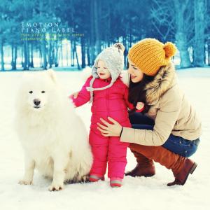 Album A collection of prehistoric music that warms your mind (precious piano) from Various Artists