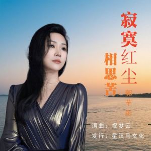 Listen to 寂寞红尘相思苦 (DJ版) song with lyrics from 郭芊彤