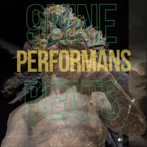 ดาวน์โหลดและฟังเพลง performans (Explicit) พร้อมเนื้อเพลงจาก 9Nine Beats