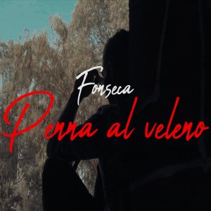อัลบัม Penna al veleno ศิลปิน Fonseca