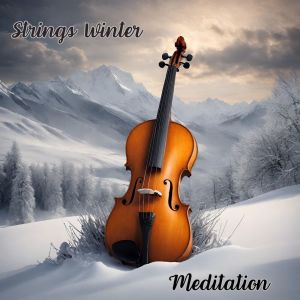 Album Strings Winter Meditation (Worship, Prayer, Study and Sleep) from Spiritual Meditation Vibes