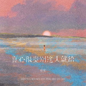 Listen to 真心很贵别逢人就给 (DJEva版) song with lyrics from 任夏