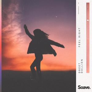 Listen to Feel Right song with lyrics from Dbeet