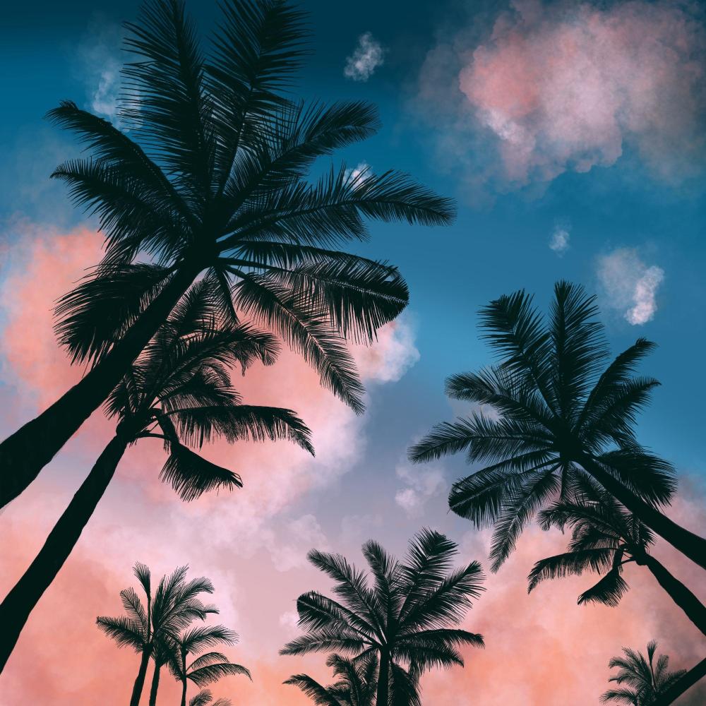 Brazil 