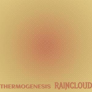 Various Artists的專輯Thermogenesis Raincloud