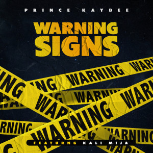 Album Warning Signs from Prince Kaybee