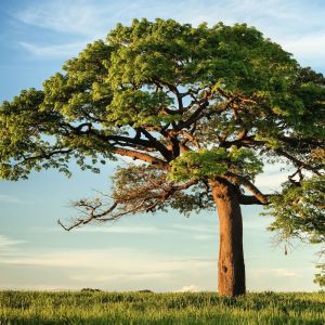 Listen to Breathing song with lyrics from Yoga Music