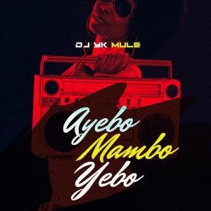 Album Ayebo Mambo Yebo from DJ Yk Mule