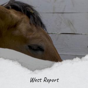 Various Artists的專輯West Report