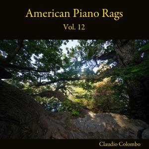 American Piano Rags, Vol. 12