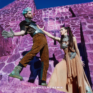 ดาวน์โหลดและฟังเพลง Swing (Tropkillaz Remix) พร้อมเนื้อเพลงจาก Sofi Tukker
