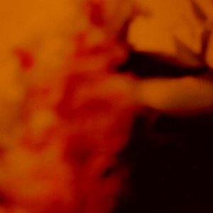 Album Control / 10,000 Leaves from Fort Romeau