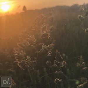 Listen to lakehouse song with lyrics from syve
