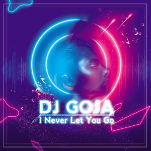 ดาวน์โหลดและฟังเพลง I Never Let You Go พร้อมเนื้อเพลงจาก Dj Goja