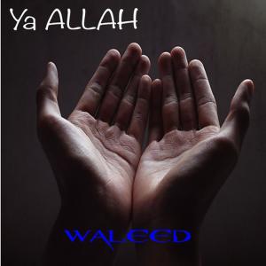 ดาวน์โหลดและฟังเพลง Ya Allah (My Prayer) พร้อมเนื้อเพลงจาก Waleed