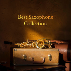 ดาวน์โหลดและฟังเพลง Best Saxophone Collection พร้อมเนื้อเพลงจาก Instrumental Jazz Music Group
