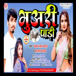 Album Bhuari Paari from Pankaj Lal Yadav