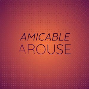 Various的专辑Amicable Arouse