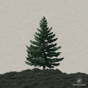 Hajime Hattori的專輯Under The Pine Tree