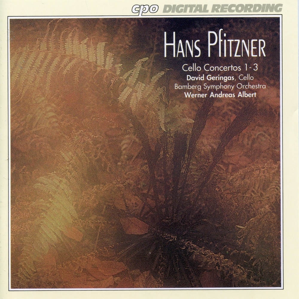 Cello Concerto in A Minor, Op. Posth.: II. Adagio molto tranquillo
