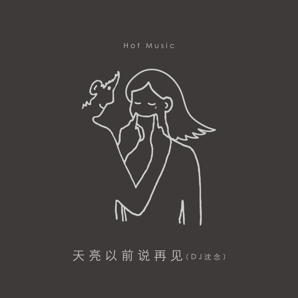 天亮以前说再见 (DJ沈念版)