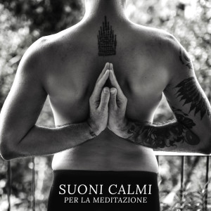 收聽Meditazione Zen Musica的Sfruttamento del corpo歌詞歌曲