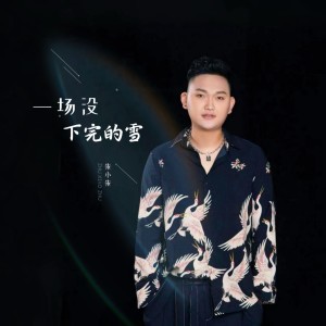 阿巧的專輯一場沒有下完的雪