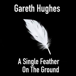 收聽Gareth Hughes的A single feather on the ground歌詞歌曲