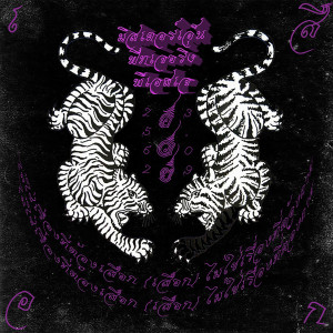 Listen to ไม่ต้องเสือก (Explicit) song with lyrics from Mr.N