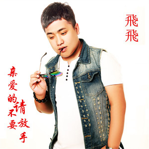收聽飛飛的親愛的請不要放手歌詞歌曲