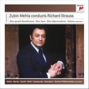 收聽Zubin Mehta的Horn Concerto No. 2 in E-Flat Major, TrV 283: II. Andante con moto歌詞歌曲