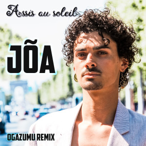 Listen to Assis au soleil (Ogazumu Remix) song with lyrics from Joa