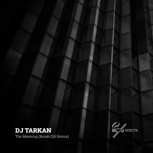 收听DJ Tarkan的The Meaning (Burak Cilt Remix)歌词歌曲