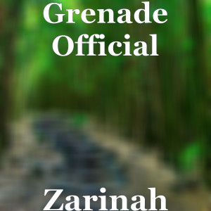 Listen to Zarinah (Explicit) song with lyrics from Grenade Official